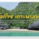 โครงการแก้ไขปัญหาความยากจนของประชาชนในเขตชนบท พื้นที่ตำบลเกาะพะลวย อำเภอเกาะสมุย จังหวัดสุราษฎร์ธานี