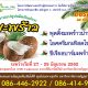 โครงการพัฒนาและสร้างผู้ประกอบการโดยใช้ความรู้ในสถาบันอุดมศึกษาเป็นฐาน (หลักสูตร ก.) หลักสูตร ธุรกิจการแปรรูปผลิตภัณฑ์จากมะพร้าว (พุดดิ้งมะพร้าวน้ำหอม ไอศกรีมกะทิสดไข่เค็ม และซีเรียลบาร์มะพร้าว)