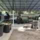 การจัดการขยะเปียกต้นทาง   ด้วยเครื่องแปรรูปขยะชีวมวล (Bio Digester)