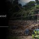ประชุมรายงานความก้าวหน้า โครงการ Coconut upcycling: wood alternative material