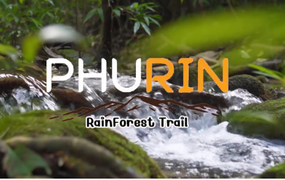 Phurin Rainforest Trail 2023 วิ่งเพื่อชุมชน สัมผัสธรรมชาติ พร้อมสร้างรายได้อย่างยั่งยืน
