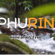 Phurin Rainforest Trail 2023 วิ่งเพื่อชุมชน สัมผัสธรรมชาติ พร้อมสร้างรายได้อย่างยั่งยืน