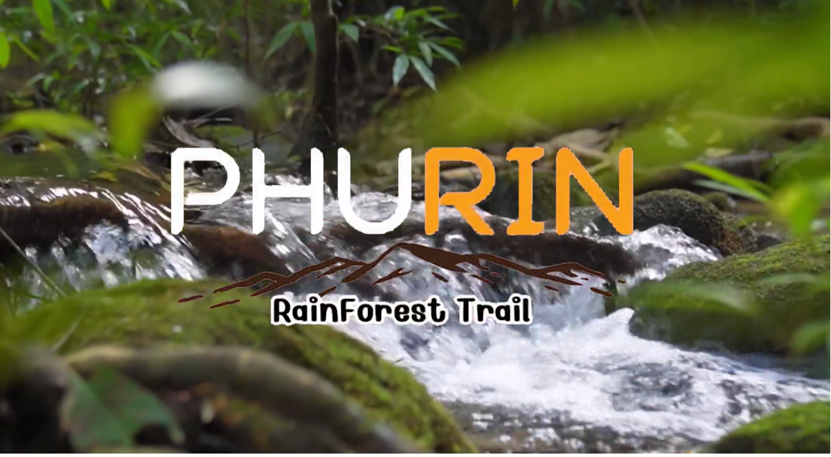 Phurin Rainforest Trail 2023 วิ่งเพื่อชุมชน สัมผัสธรรมชาติ พร้อมสร้างรายได้อย่างยั่งยืน