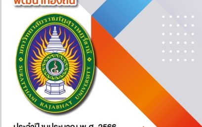 การดำเนินงานด้านการพัฒนาท้องถิ่นของโครงการจัดตั้กองบริการวิชาการพัฒนาท้องถิ่น