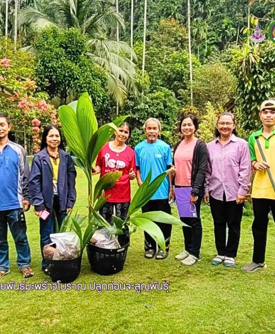 อพ.สธ.-มรส ลงพื้นที่ปกปักสายพันธุ์มะพร้าวมุ่งเป้า 19 อำเภอ จังหวัดสุราษฎร์ธานีเก็บรวบรวมปลูกก่อนจะสูญพันธุ์
