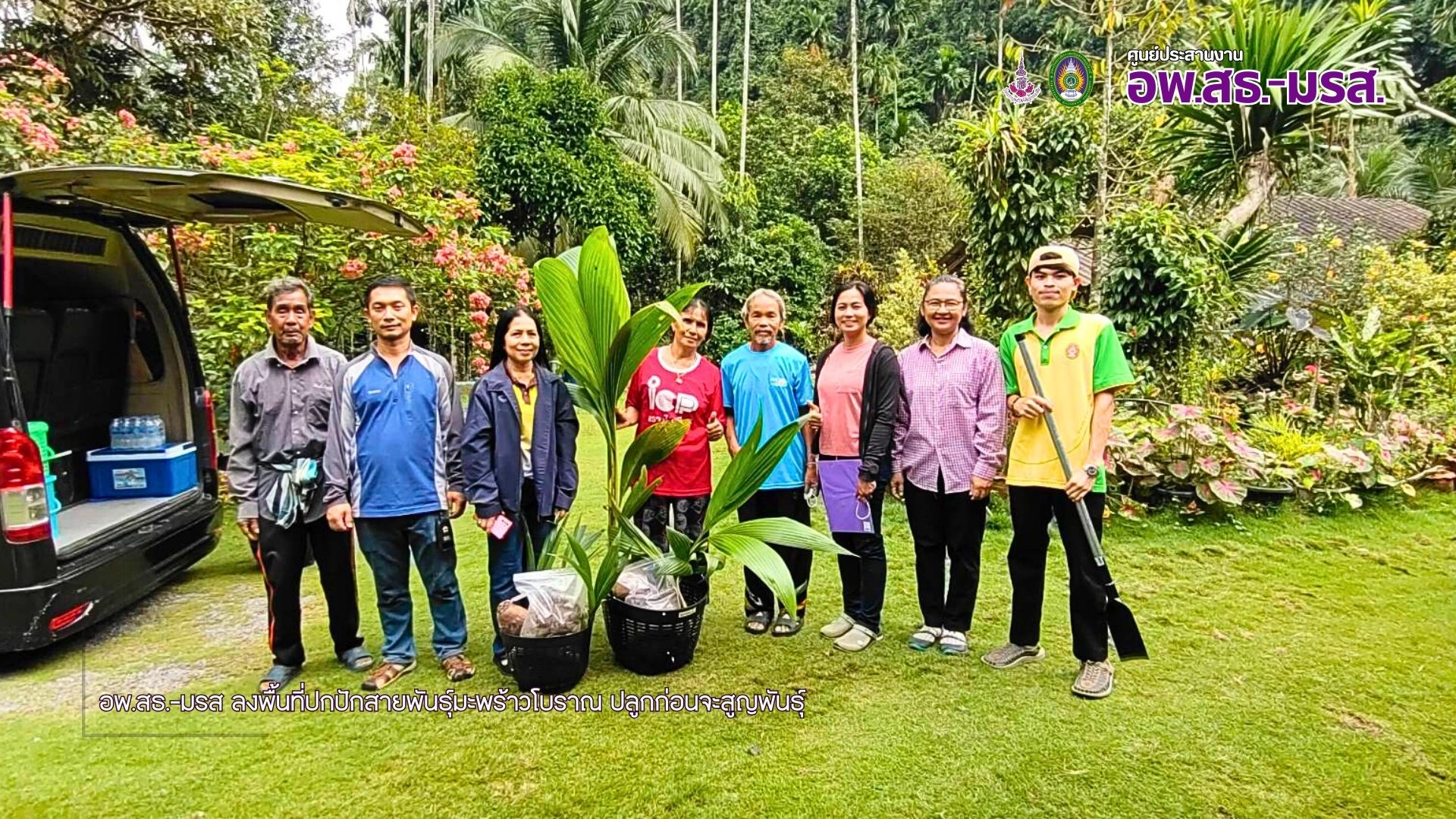 อพ.สธ.-มรส ลงพื้นที่ปกปักสายพันธุ์มะพร้าวมุ่งเป้า 19 อำเภอ จังหวัดสุราษฎร์ธานีเก็บรวบรวมปลูกก่อนจะสูญพันธุ์