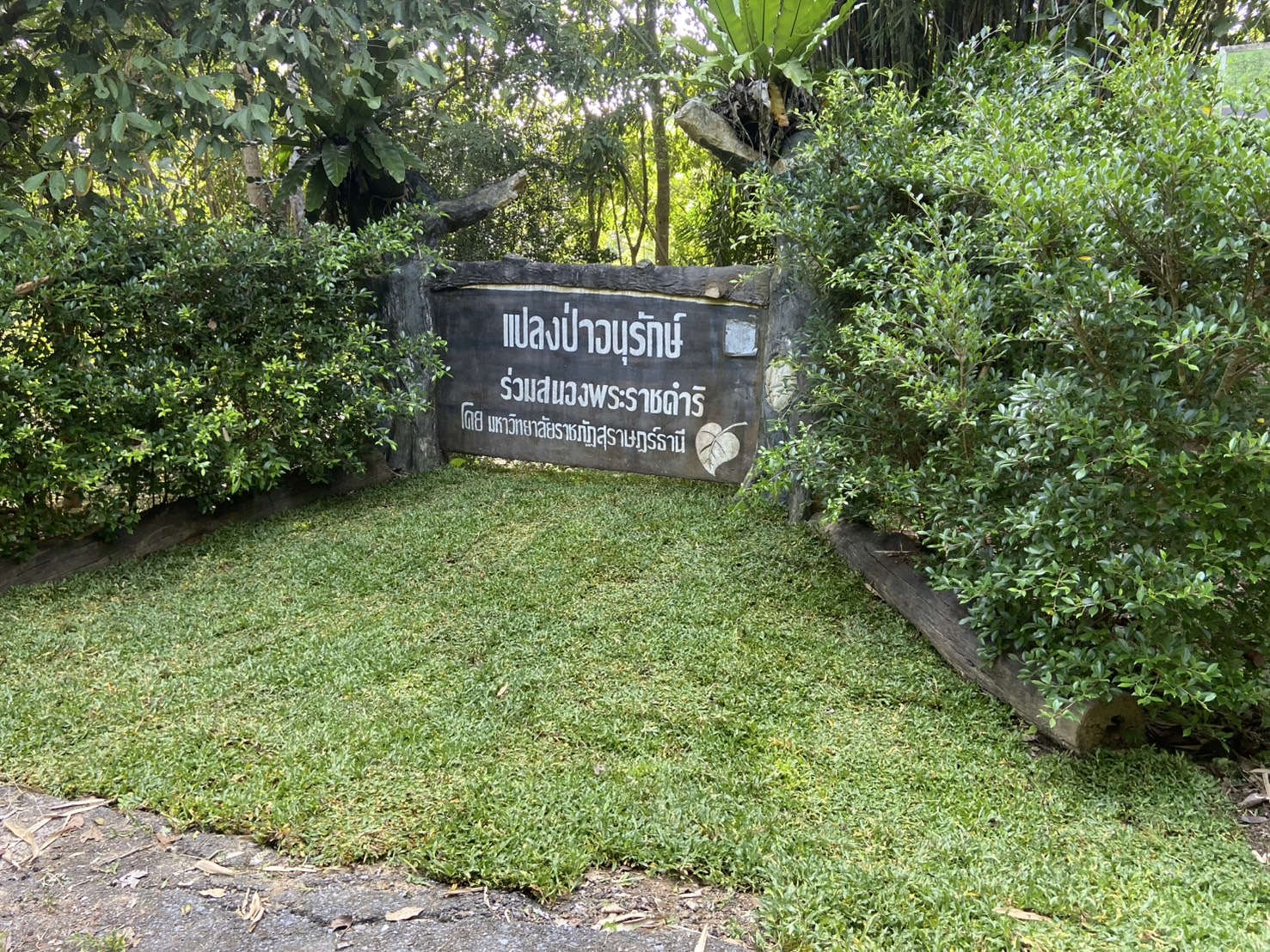 ศูนย์ประสานงาน อพ.สธ.-มรส. เดินหน้าพัฒนาแปลงป่าอนุรักษ์ แปลงที่ 10 อย่างต่อเนื่อง พร้อมทั้งเสริมพรรณไม้ท้องถิ่น ศูนย์ประสานงาน อพ.สธ.-มรส. เดินหน้าพัฒนาแปลงป่าอนุรักษ์ แปลงที่ 10 อย่างต่อเนื่อง พร้อมทั้งเสริมพรรณไม้ท้องถิ่น