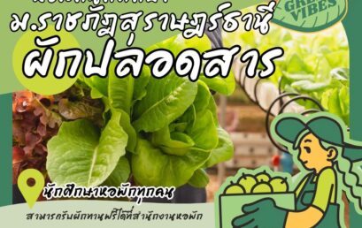 หอพักนักศึกษา มรส. สร้างแหล่งอาหารยั่งยืน เปิดให้นักศึกษารับผักฟรีจากแปลงเศรษฐกิจพอเพียง