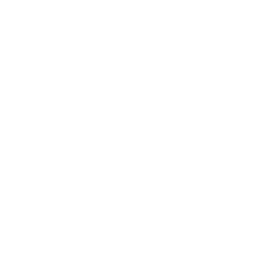 โลโก้ SDG 3