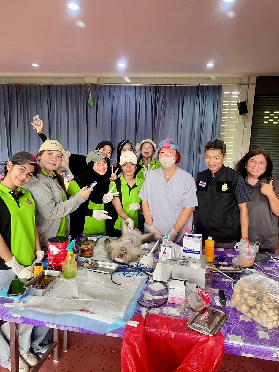 คณะวิทย์ฯ มรส. จับมือส่วนอนุรักษ์สัตว์ป่า ลุยพื้นที่ศึกษาลิงแสมปากกระแดะ สร้างองค์ความรู้หนุนคนกับสัตว์ป่าอยู่ร่วมกันอย่างยั่งยืน ตอบโจทย์ SDG คณะวิทย์ฯ มรส. จับมือส่วนอนุรักษ์สัตว์ป่า ลุยพื้นที่ศึกษาลิงแสมปากกระแดะ สร้างองค์ความรู้หนุนคนกับสัตว์ป่าอยู่ร่วมกันอย่างยั่งยืน ตอบโจทย์ SDG